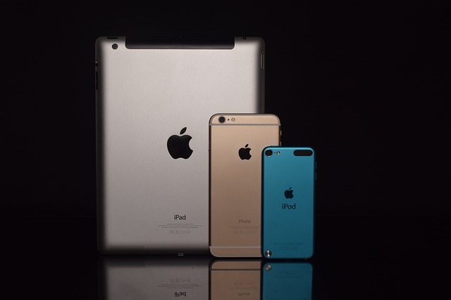 iPhone