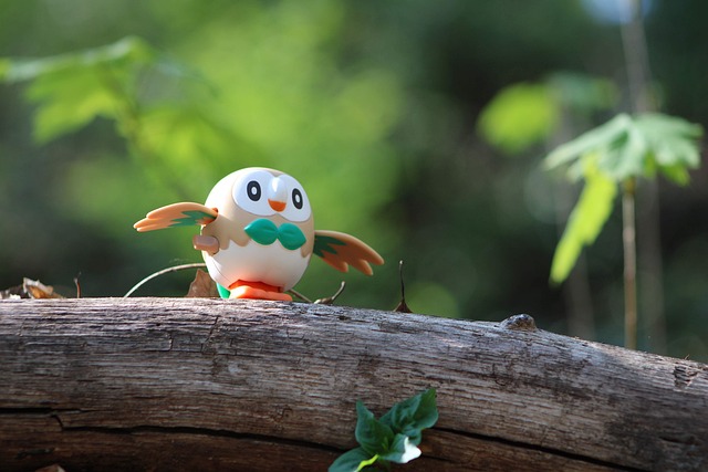Pokemon