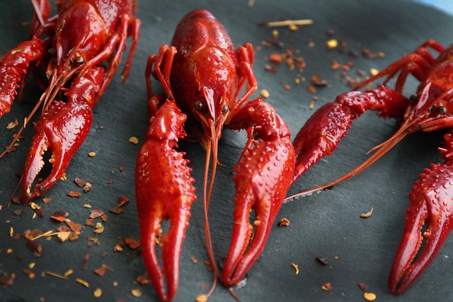 crayfish