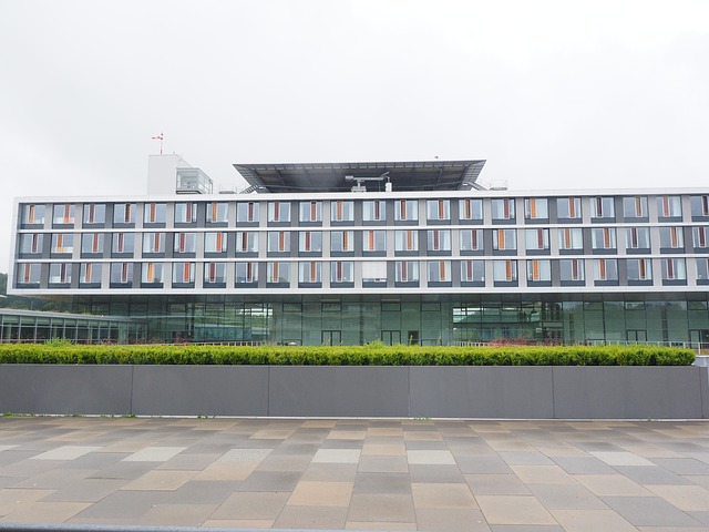 university