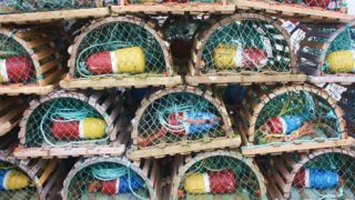fishing equipment