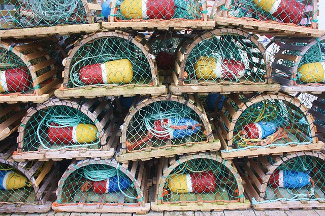 fishing equipment