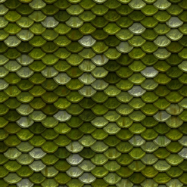 scale